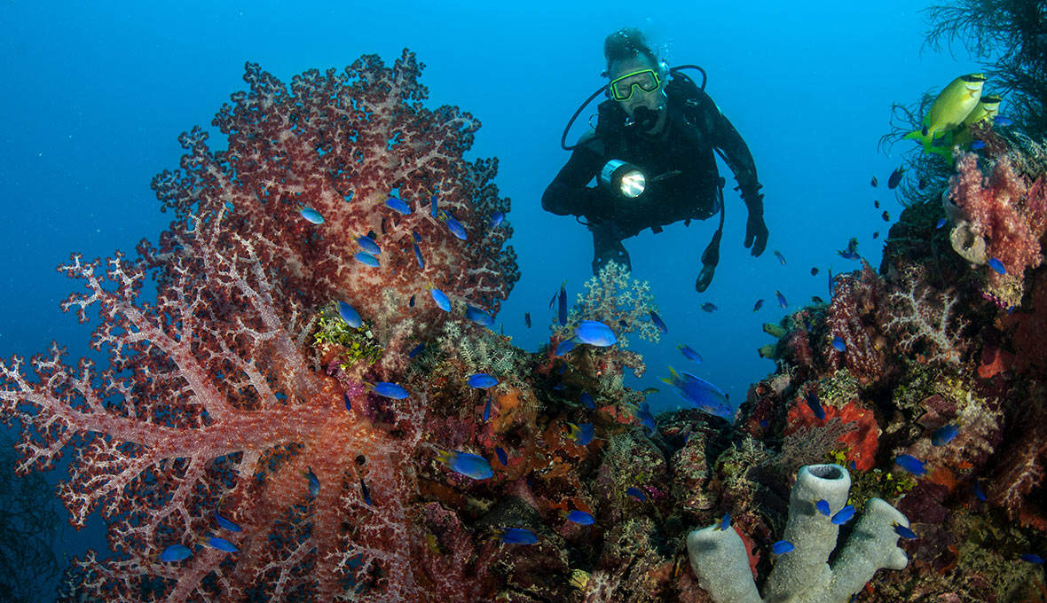 Dive Truk Lagoon with Odyssey Adventures